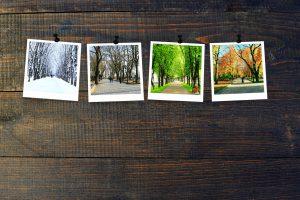 Weathering the Storm — Using the Seasons to Your Advantage